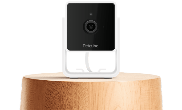 pet cube camera
