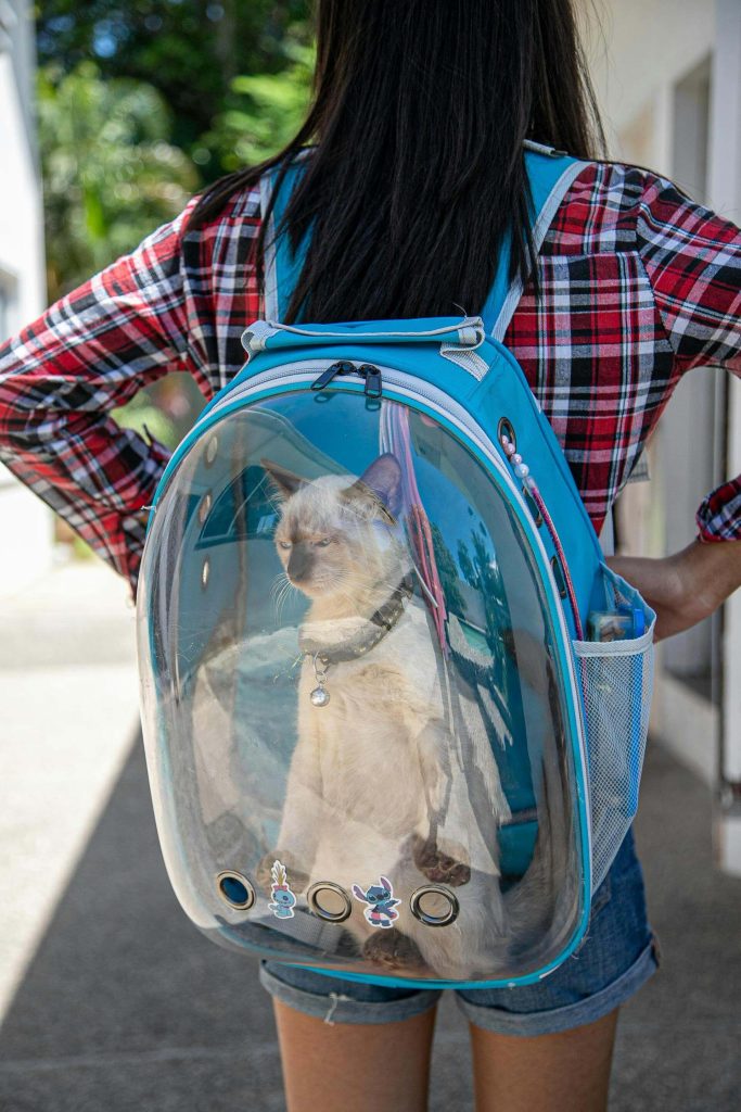 Cat Carriers