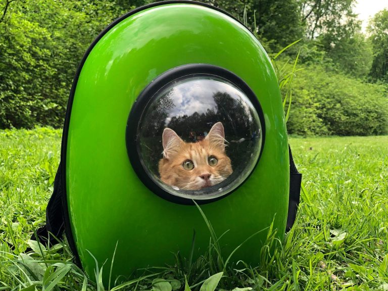 Cat Carriers