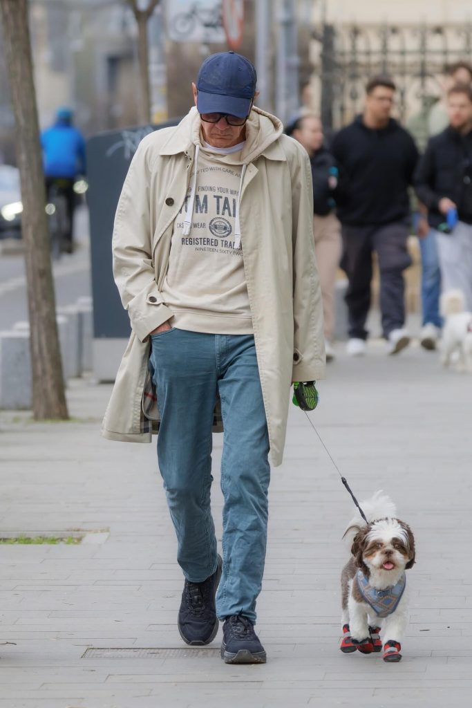dog shoes