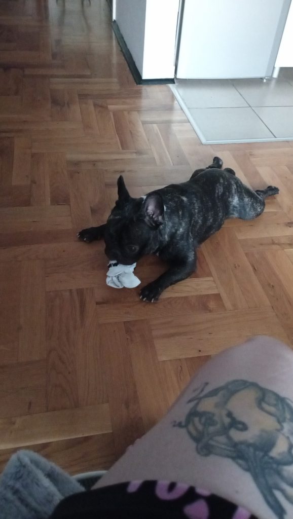 ozzy chewing