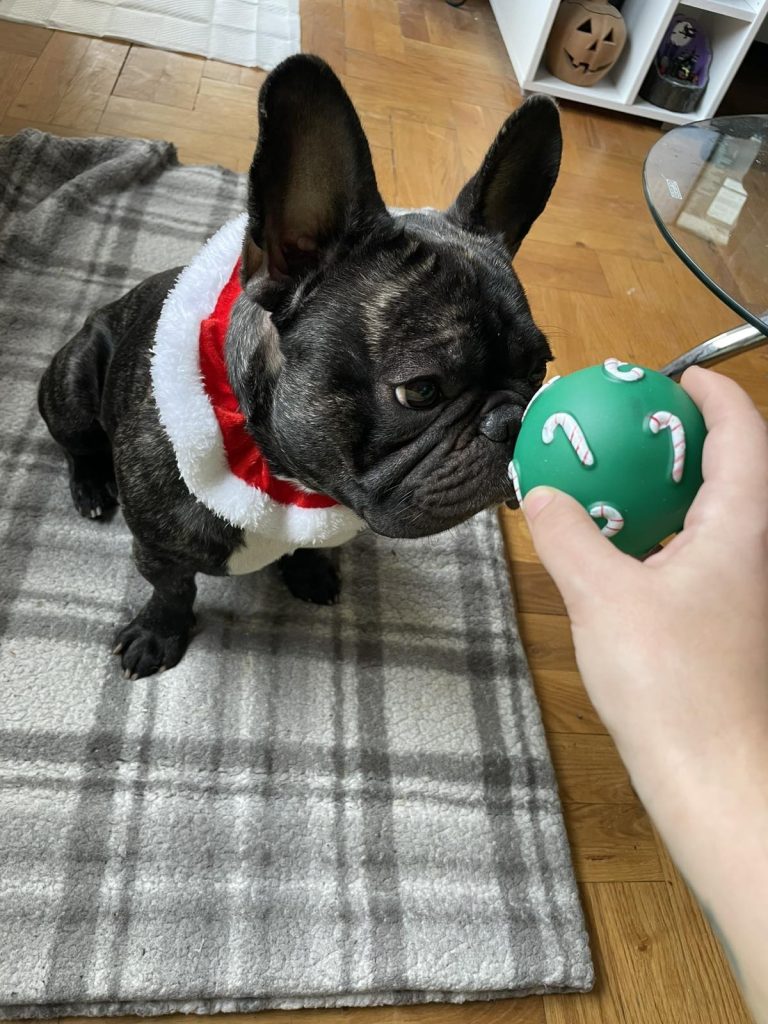 ozzy xmas