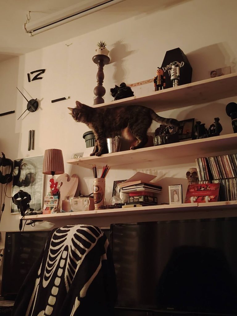 NeMachka on the shelf