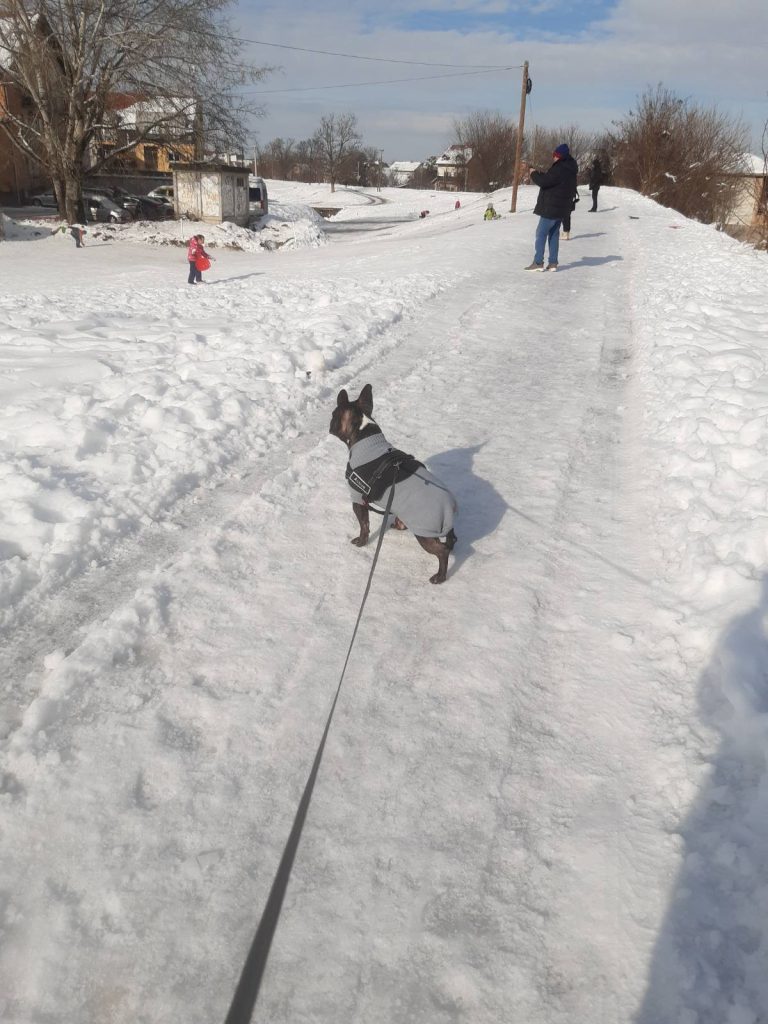 ozzy snow