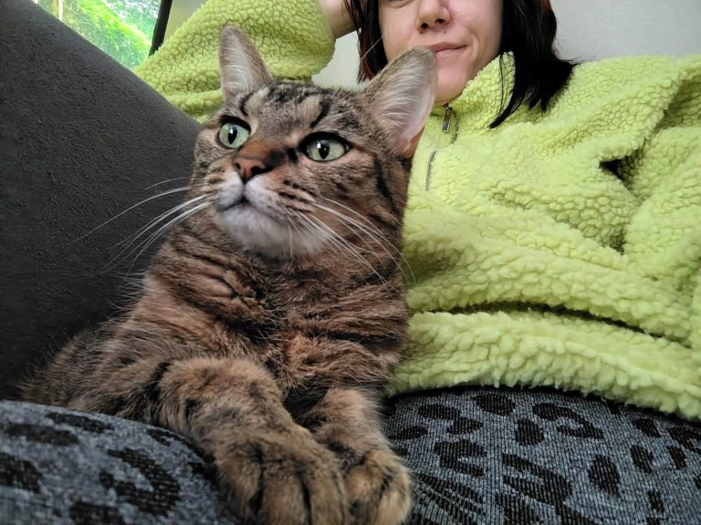 Facts about cats - NeMachka enjoys the company of her owner