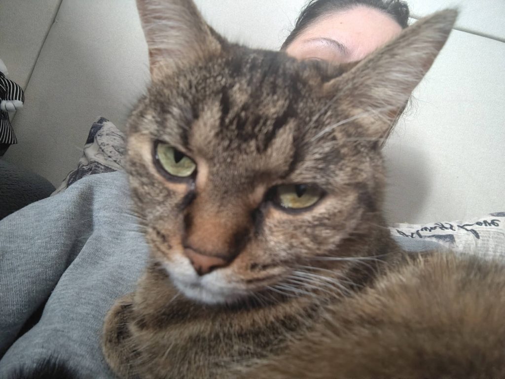 NeMachka is not so happy