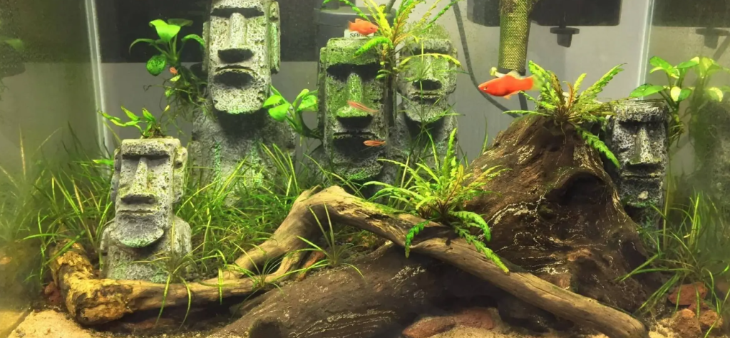 8 fish
