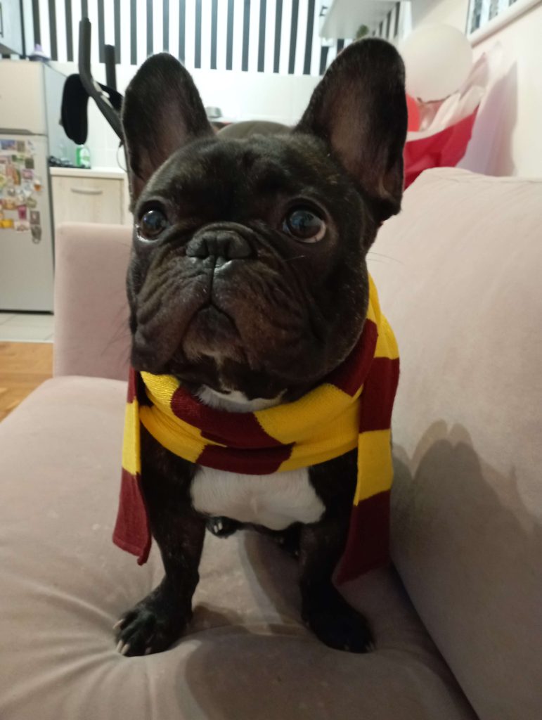 8 ozzy griffindor