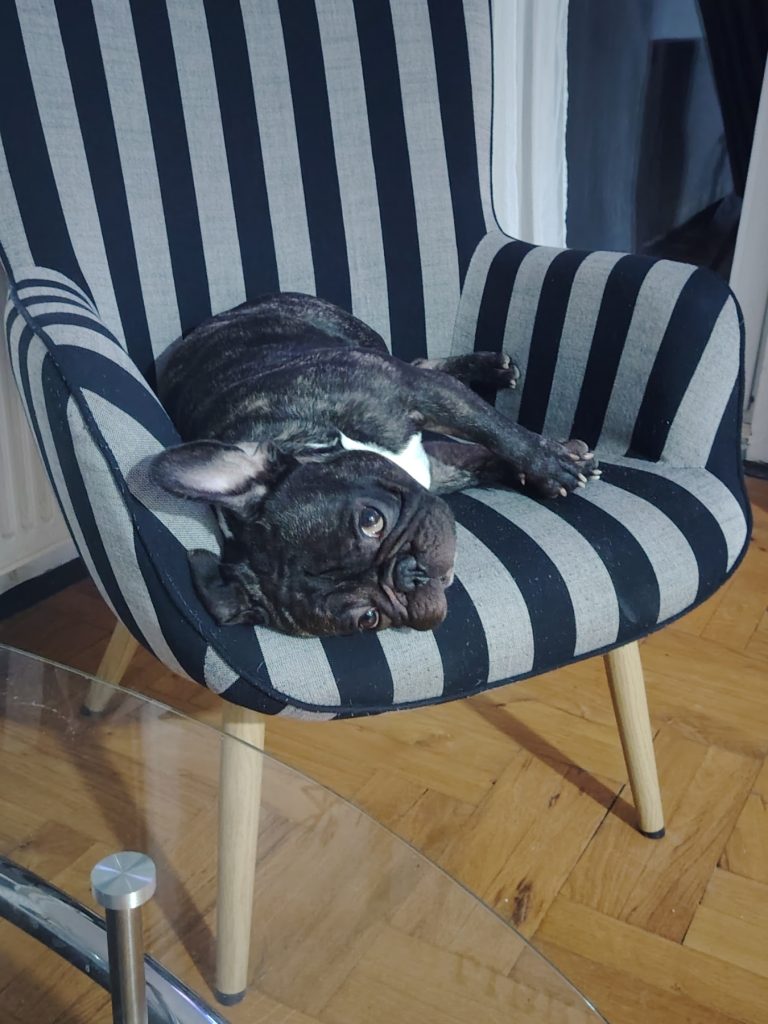 fotelja ozzy