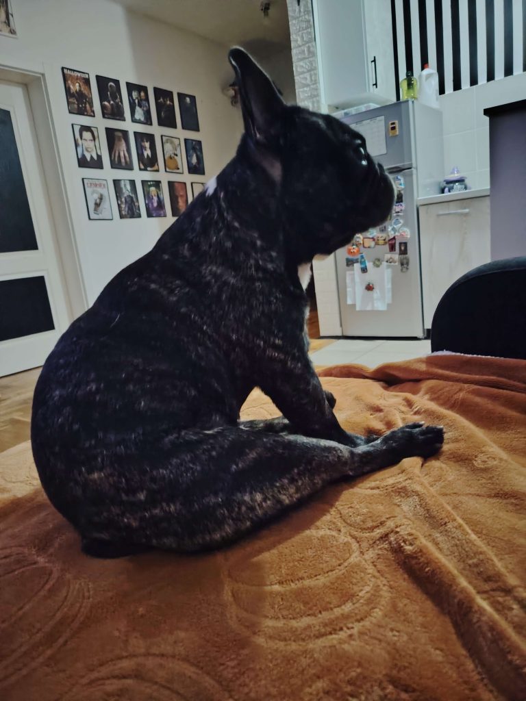 ozzy butt