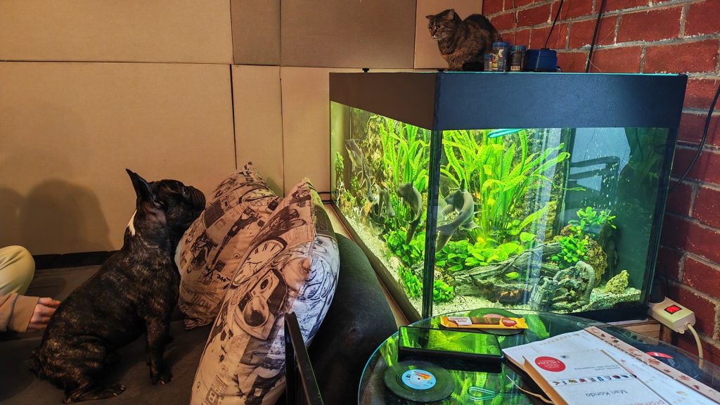 Aquarium substrate