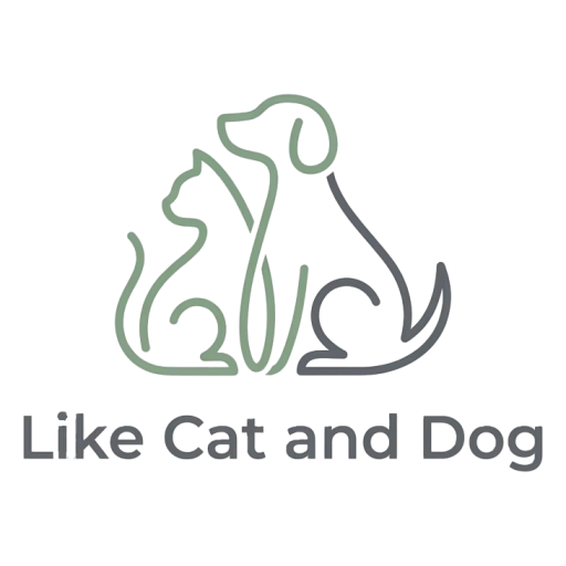 Like Cat and Dog