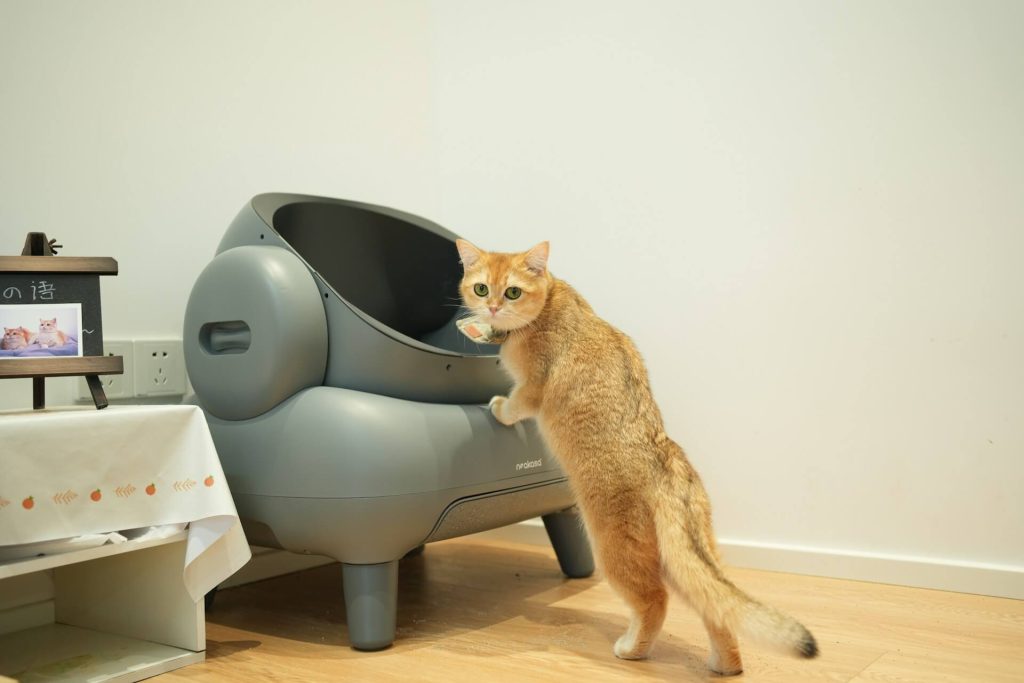 Litter Box Odor Eliminator