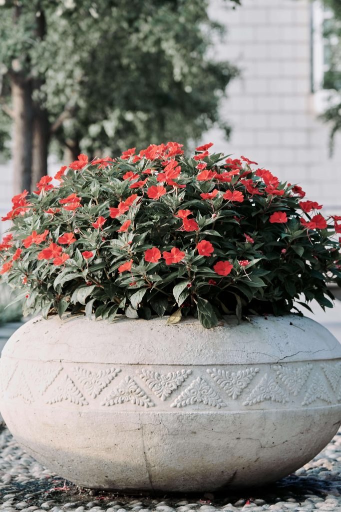 outdoor planter white