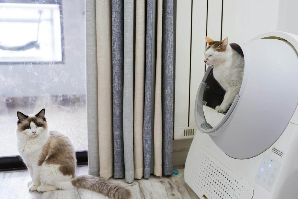 Cat Litter Deodorizer