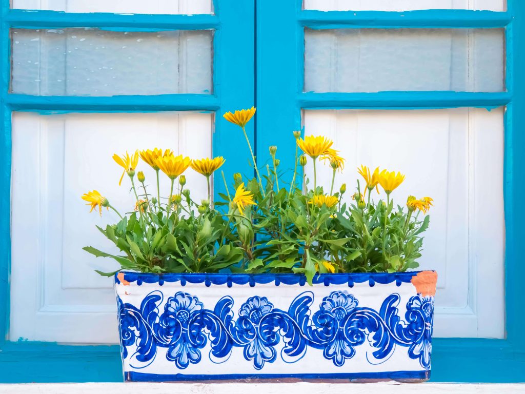 planter flowers