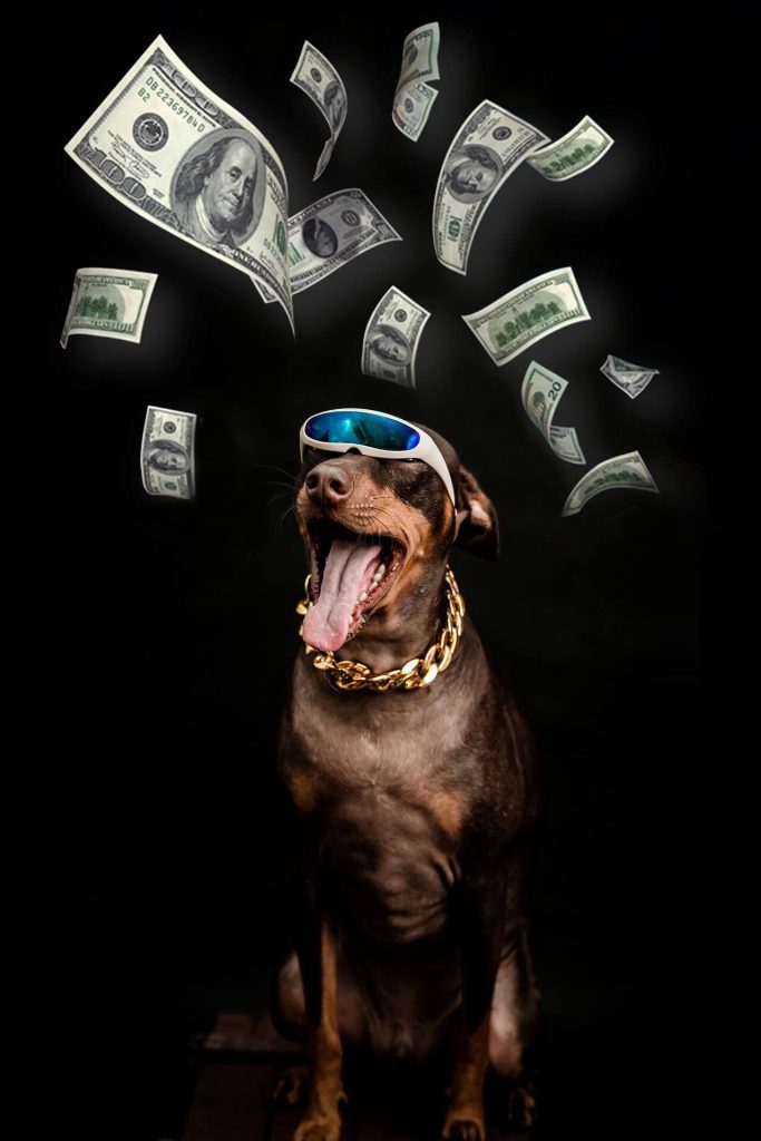 best dog gadgets on amazon