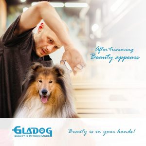 Master At-Home Grooming: GLADOG 5-in-1 Grooming Scissors Set
